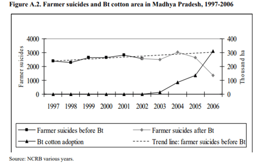インドは遺伝子組換えの綿が導入されてから自殺者は減少傾向