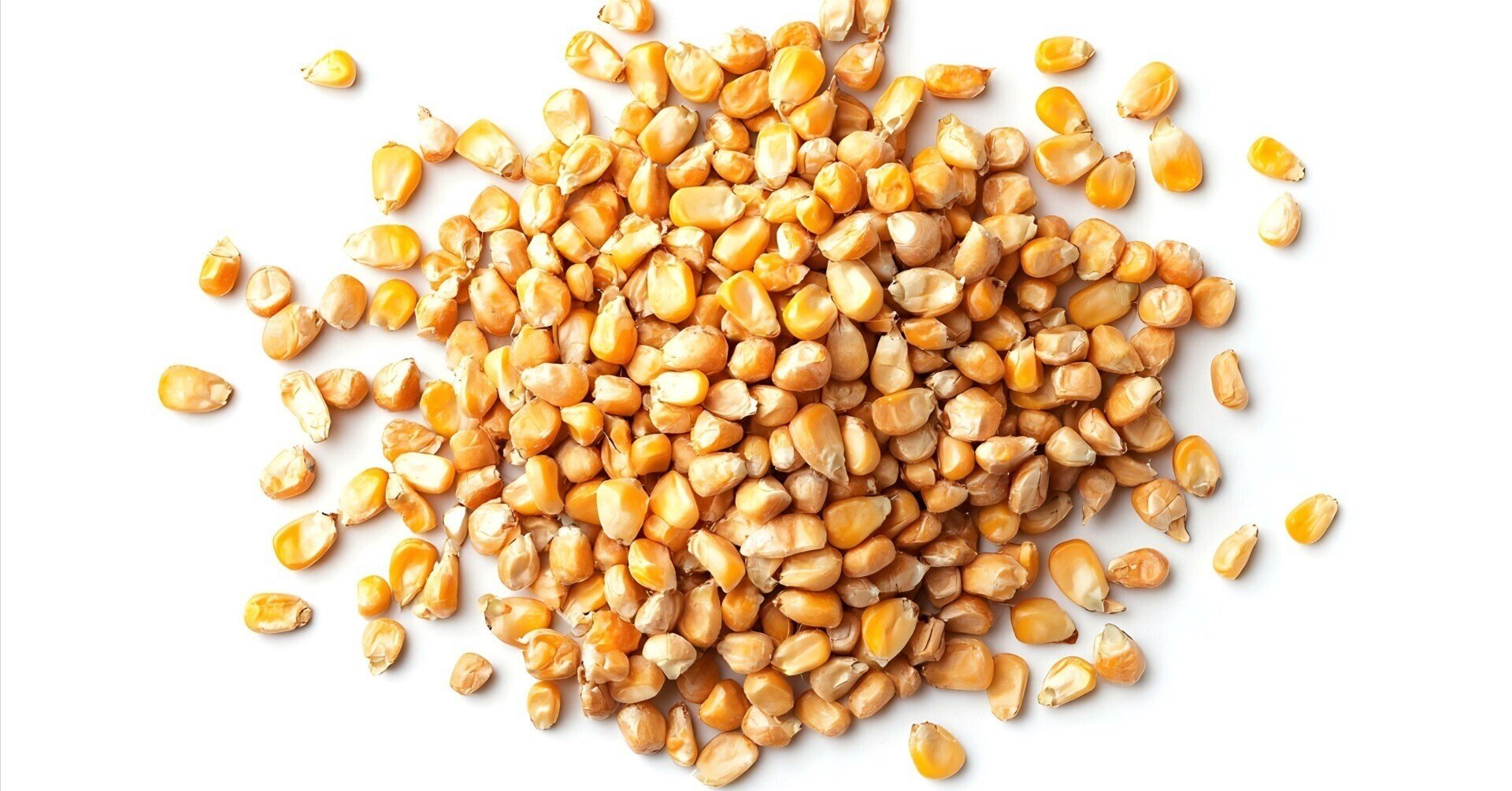 第13回 戦時下で急成長――ウクライナ農業の驚異の転換力【浅川芳裕の農業note】